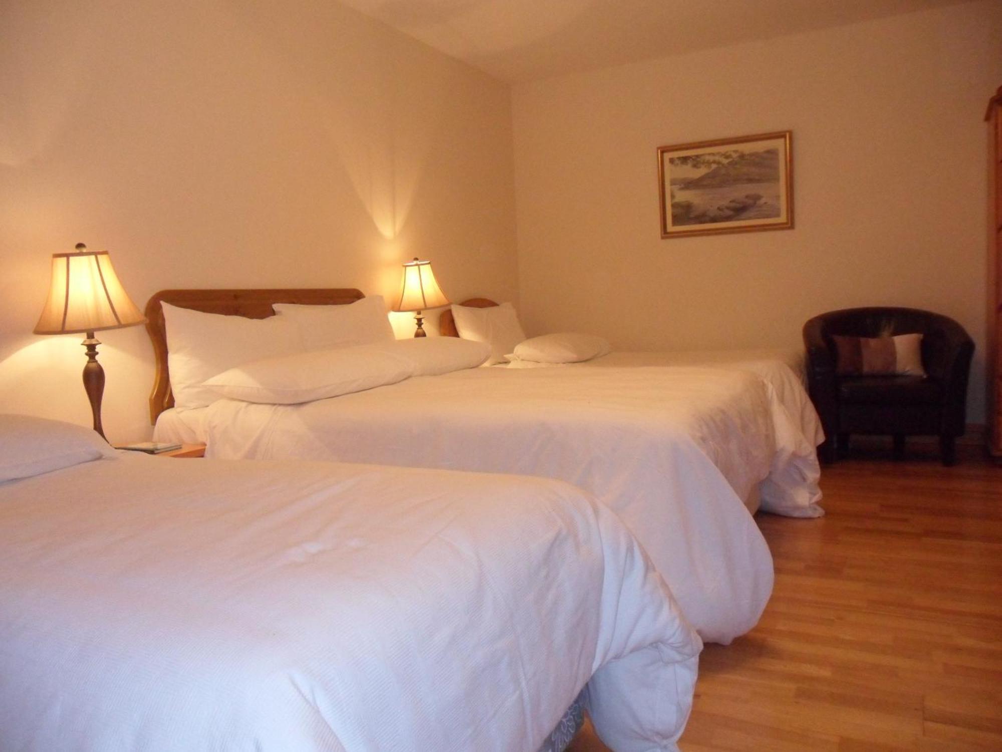 Forest Park House B&B 보일 외부 사진