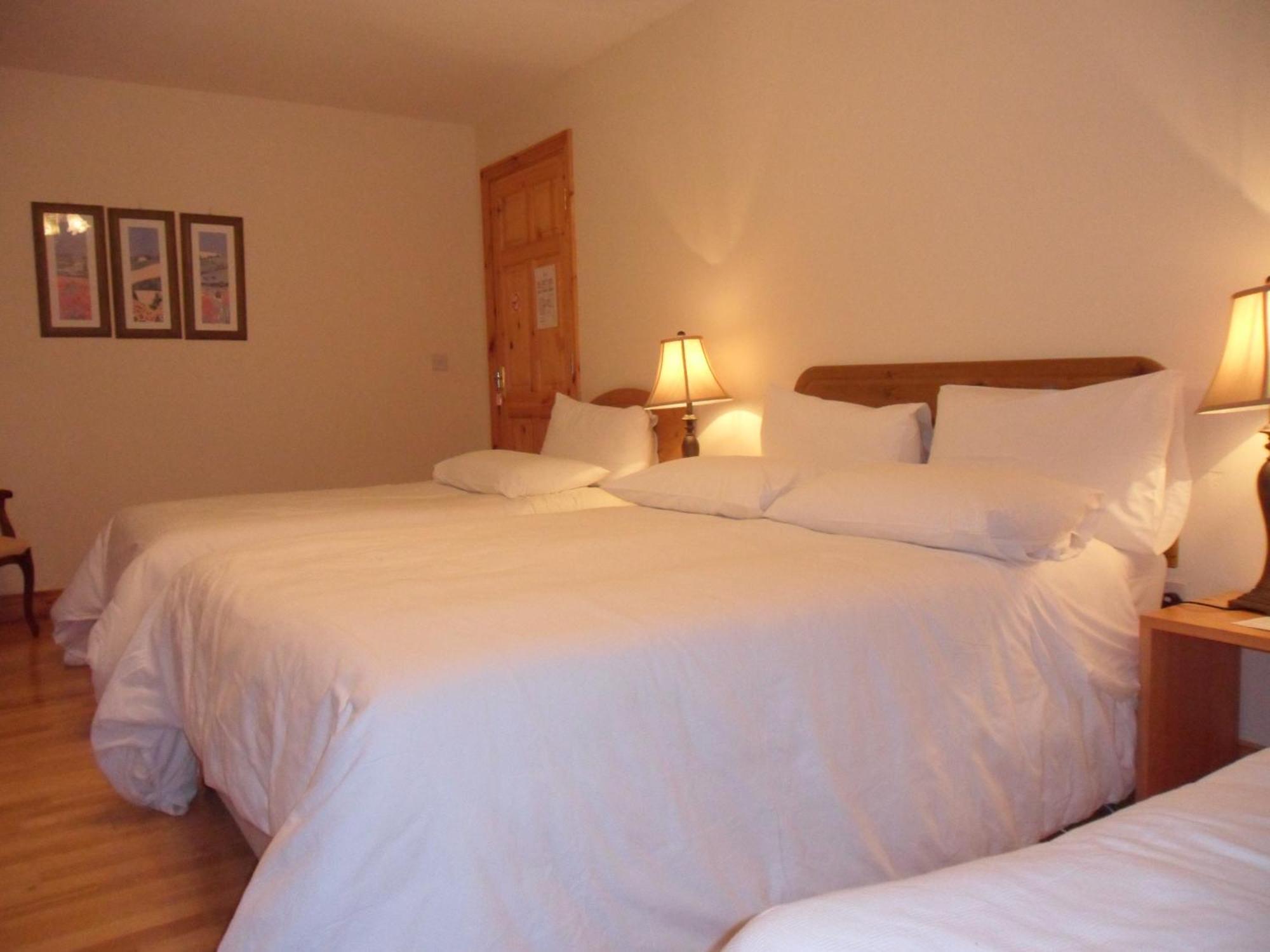 Forest Park House B&B 보일 외부 사진