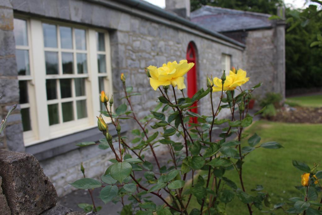 Forest Park House B&B 보일 외부 사진